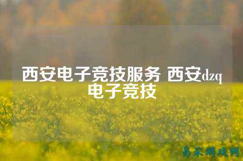 西安电子竞技服务 西安dzq电子竞技