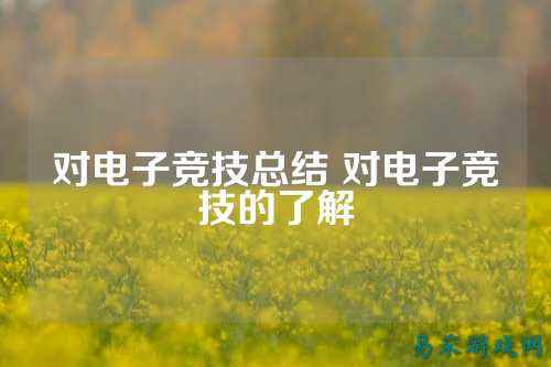 对电子竞技总结 对电子竞技的了解
