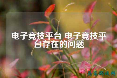 电子竞技平台 电子竞技平台存在的问题