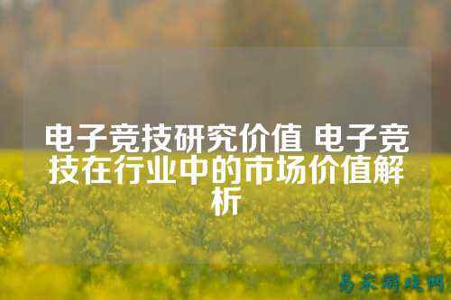 电子竞技研究价值 电子竞技在行业中的市场价值解析