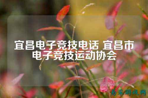 宜昌电子竞技电话 宜昌市电子竞技运动协会