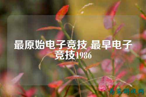 最原始电子竞技 最早电子竞技1986