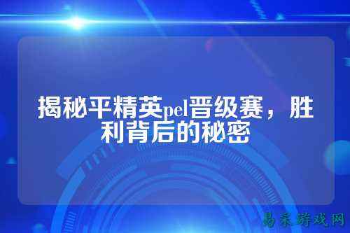 揭秘平精英pel晋级赛,胜利背后的秘密
