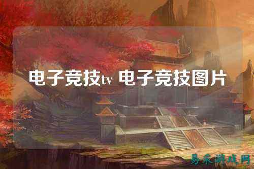 电子竞技tv 电子竞技图片