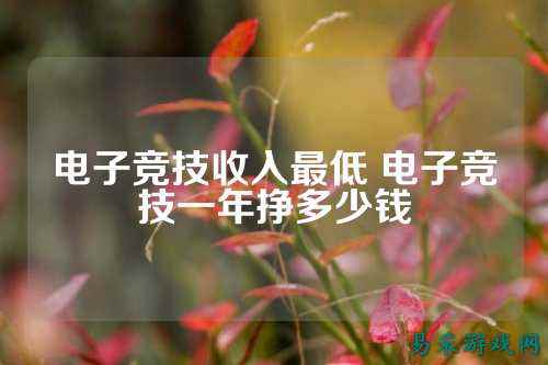 电子竞技收入最低 电子竞技一年挣多少钱