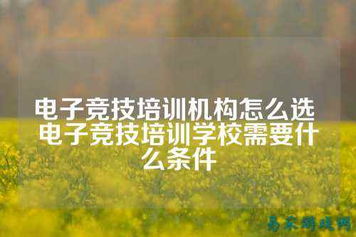 电子竞技培训机构怎么选 电子竞技培训学校需要什么条件