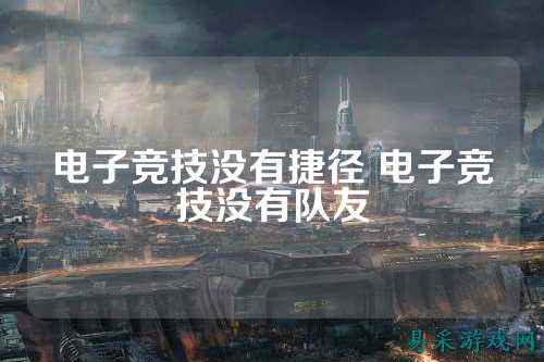 电子竞技没有捷径 电子竞技没有队友