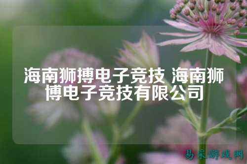 海南狮搏电子竞技 海南狮博电子竞技有限公司