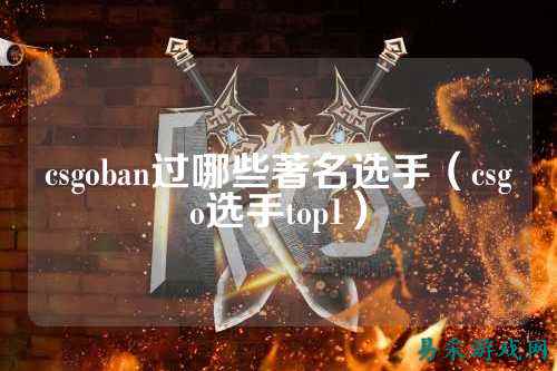 csgoban过哪些著名选手(csgo选手top1)