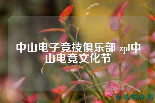 中山电子竞技俱乐部 zpl中山电竞文化节