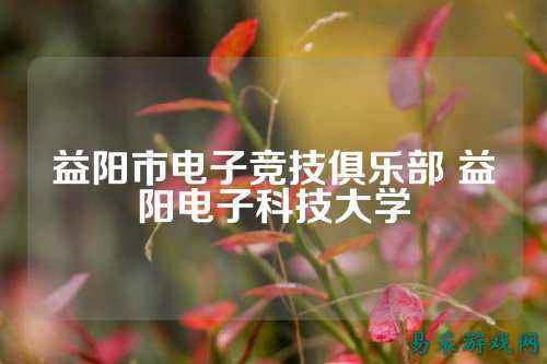 益阳市电子竞技俱乐部 益阳电子科技大学