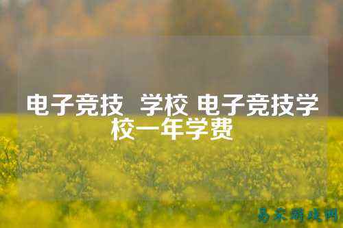 电子竞技  学校 电子竞技学校一年学费