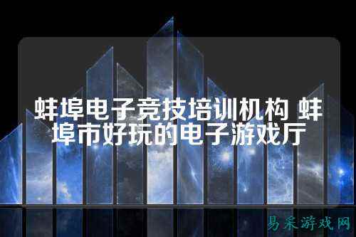 蚌埠电子竞技培训机构 蚌埠市好玩的电子游戏厅