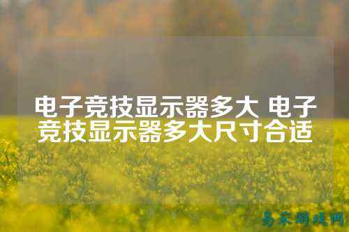 电子竞技显示器多大 电子竞技显示器多大尺寸合适