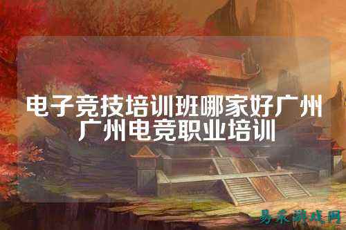 电子竞技培训班哪家好广州 广州电竞职业培训