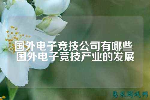 国外电子竞技公司有哪些 国外电子竞技产业的发展