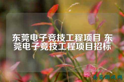 东莞电子竞技工程项目 东莞电子竞技工程项目招标