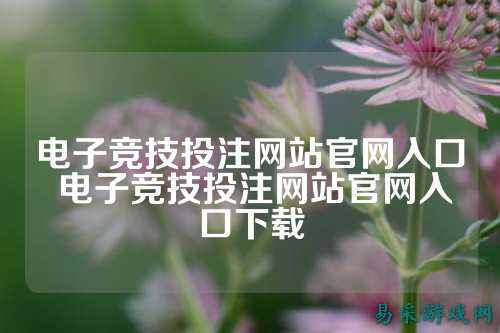 电子竞技投注网站官网入口 电子竞技投注网站官网入口下载