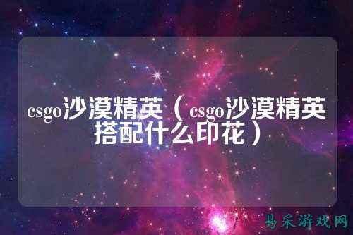 csgo沙漠精英(csgo沙漠精英搭配什么印花)