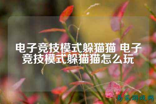 电子竞技模式躲猫猫 电子竞技模式躲猫猫怎么玩