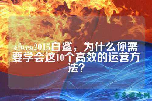 cfwca2015白鲨,为什么你需要学会这10个高效的运营方法?
