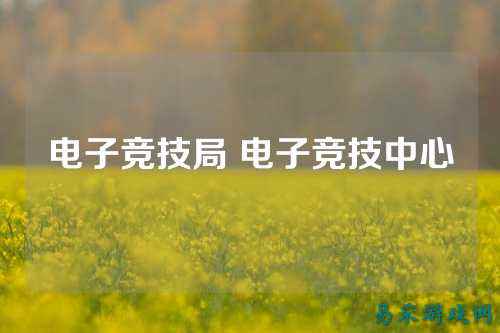 电子竞技局 电子竞技中心