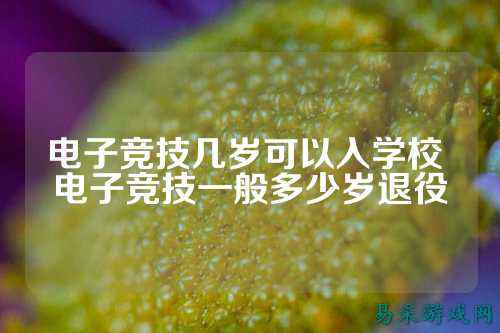 电子竞技几岁可以入学校 电子竞技一般多少岁退役