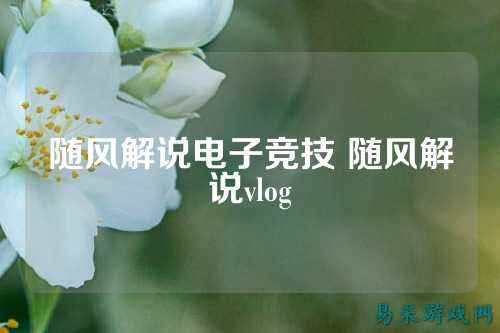 随风解说电子竞技 随风解说vlog