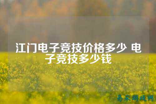 江门电子竞技价格多少 电子竞技多少钱