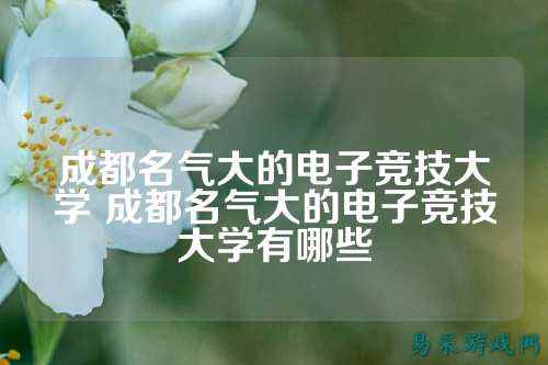 成都名气大的电子竞技大学 成都名气大的电子竞技大学有哪些