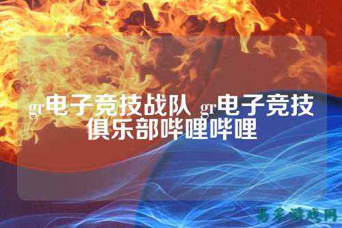 gr电子竞技战队 gr电子竞技俱乐部哔哩哔哩