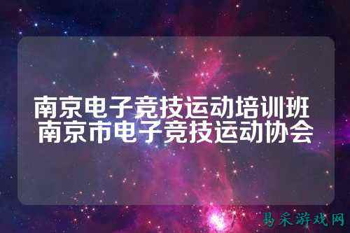 南京电子竞技运动培训班 南京市电子竞技运动协会