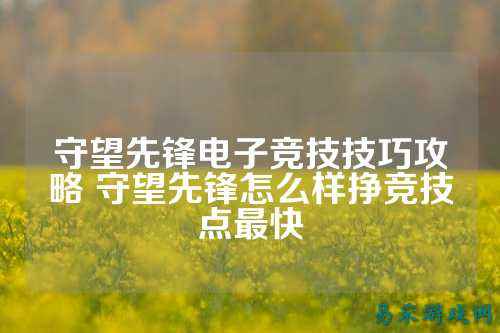 守望先锋电子竞技技巧攻略 守望先锋怎么样挣竞技点最快