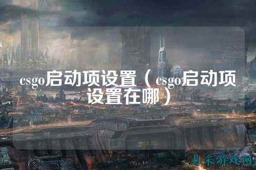 csgo启动项设置(csgo启动项设置在哪)