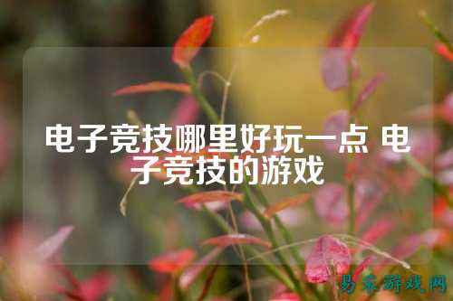 电子竞技哪里好玩一点 电子竞技的游戏