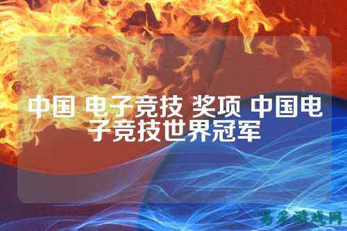中国 电子竞技 奖项 中国电子竞技世界冠军