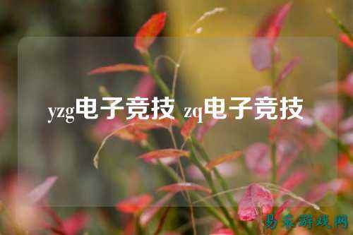 yzg电子竞技 zq电子竞技