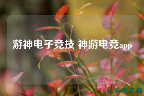 游神电子竞技 神游电竞app