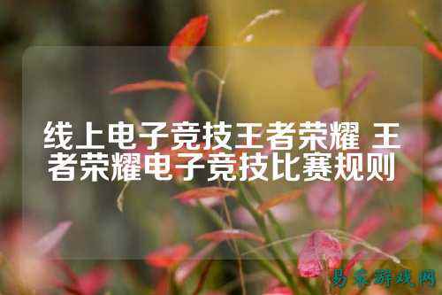 线上电子竞技王者荣耀 王者荣耀电子竞技比赛规则
