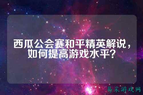 西瓜公会赛和平精英解说，如何提高游戏水平？