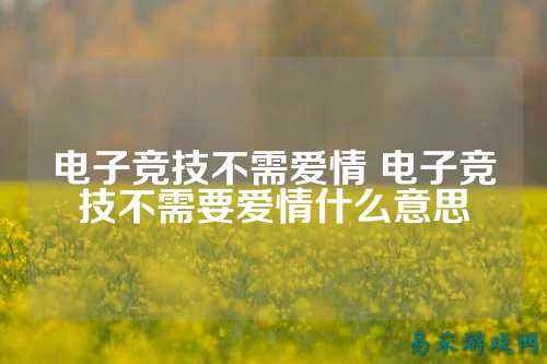 电子竞技不需爱情 电子竞技不需要爱情什么意思