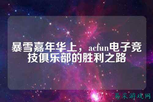 暴雪嘉年华上,acfun电子竞技俱乐部的胜利之路