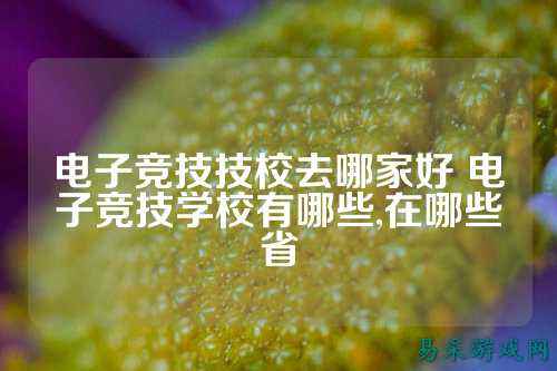 电子竞技技校去哪家好 电子竞技学校有哪些,在哪些省