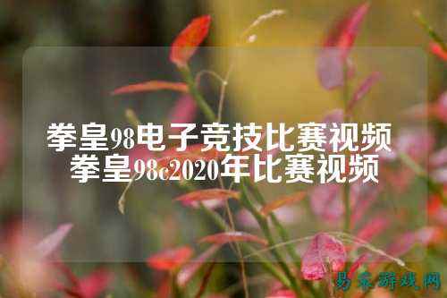 拳皇98电子竞技比赛视频 拳皇98c2020年比赛视频