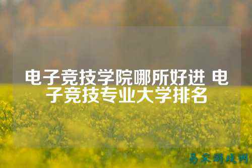 电子竞技学院哪所好进 电子竞技专业大学排名
