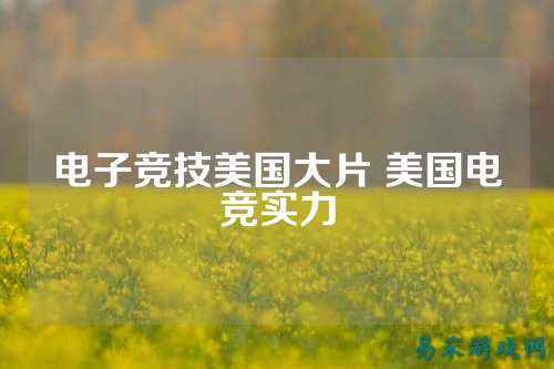电子竞技美国大片 美国电竞实力