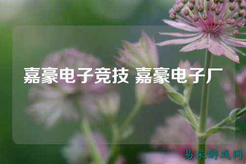 嘉豪电子竞技 嘉豪电子厂