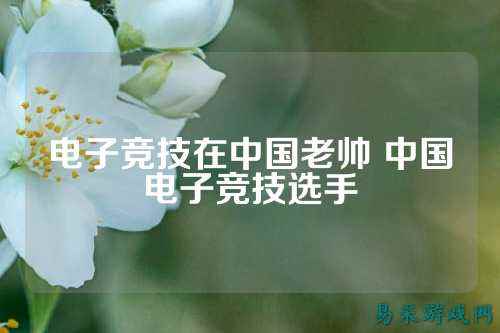 电子竞技在中国老帅 中国电子竞技选手