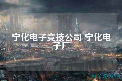 宁化电子竞技公司 宁化电子厂