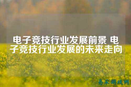 电子竞技行业发展前景 电子竞技行业发展的未来走向